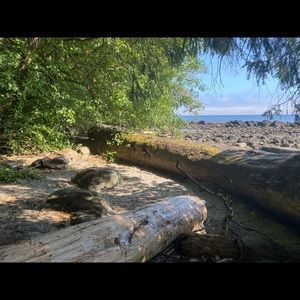 Meet your Posher, June